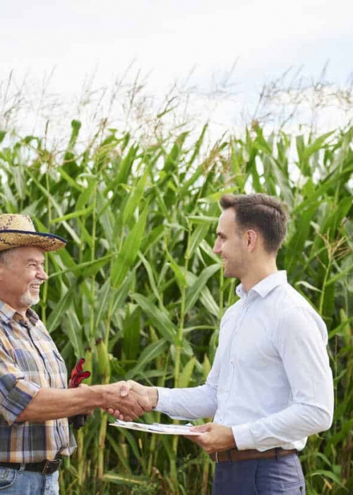 Farmer and businessman shaking hands at the cornfield